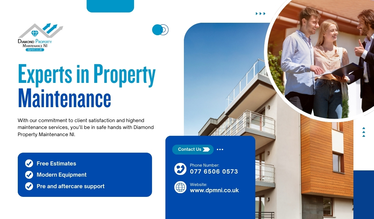 DPMNI Team Performing Professional Roof Cleaning in Northern Ireland
