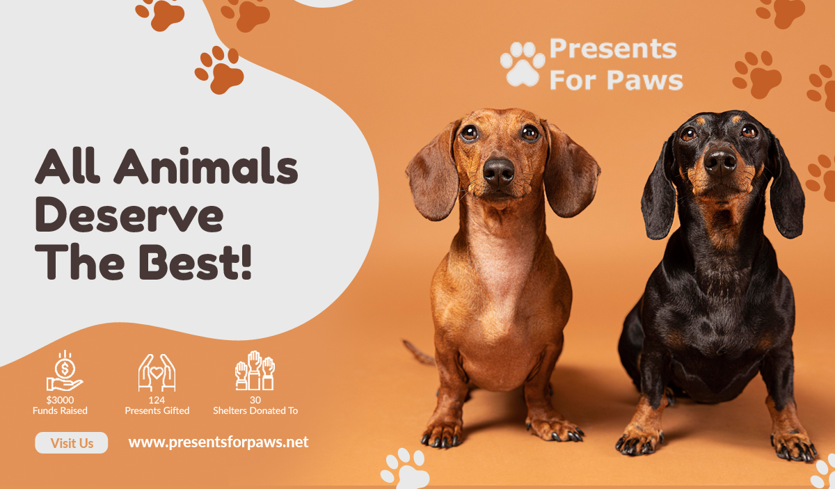 Happy Dachshund Promoting Pet Gifts and Adoption at Presents for Paws