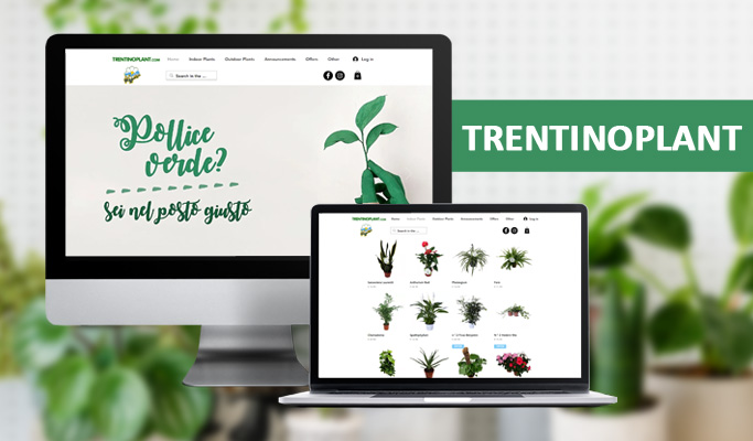 Trentinoplant website homepage showcasing indoor and outdoor plants.